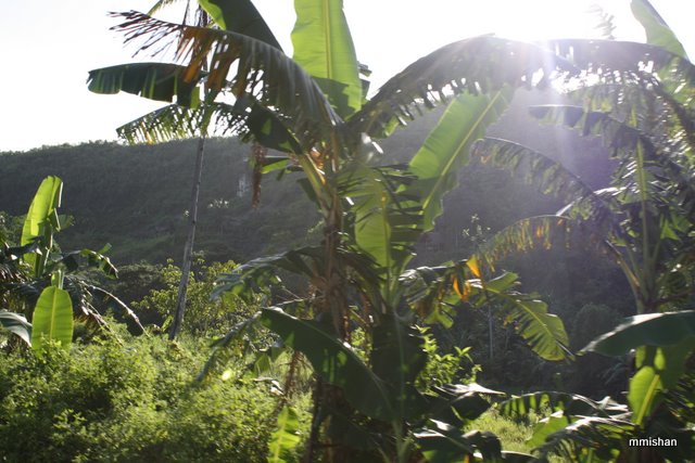 Остров Bantanyan, Филиппины.