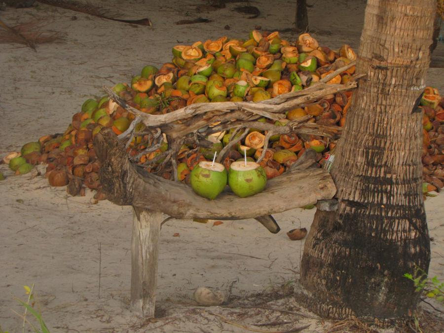 Пилипинас-транжир-тур. Февраль 2011