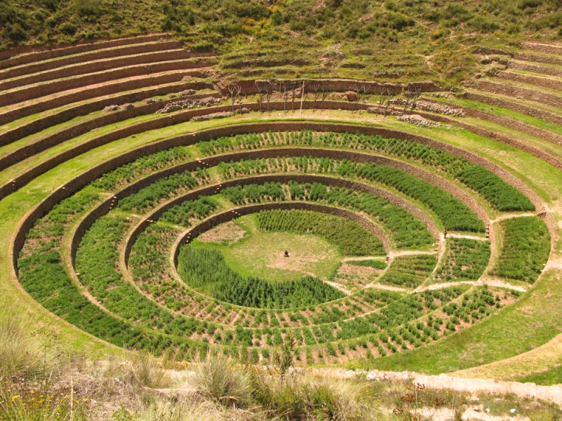 Перуанские хроники
