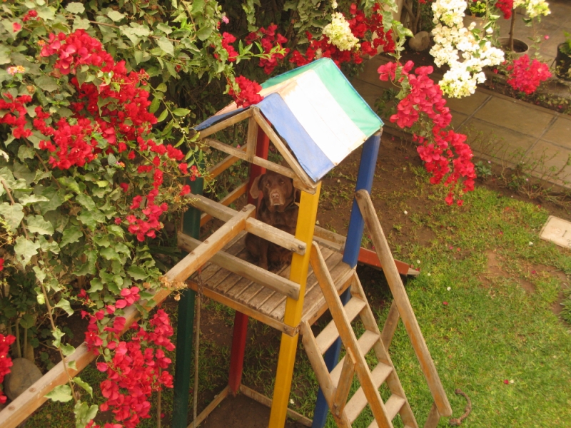 Перуанские хроники