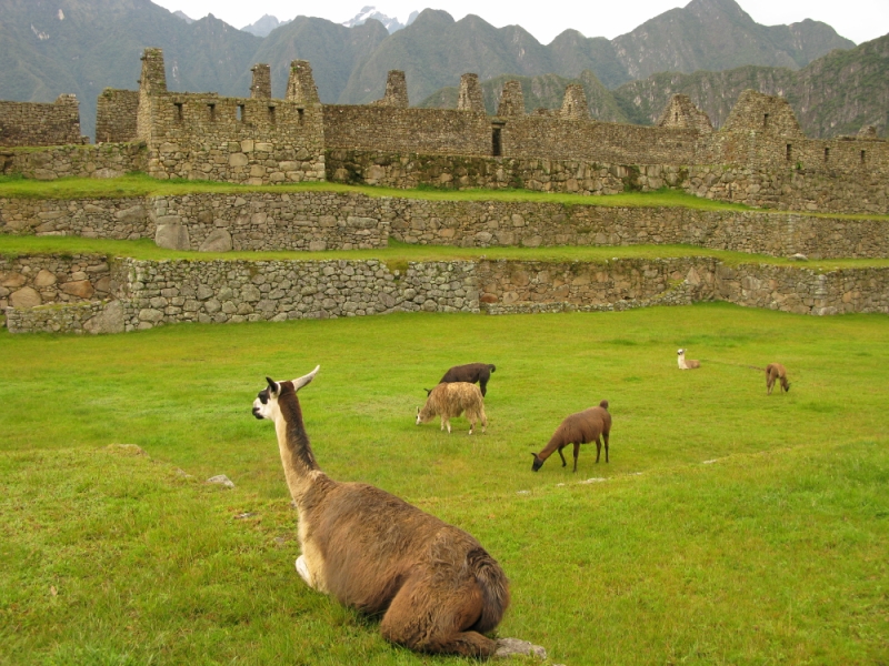Перуанские хроники