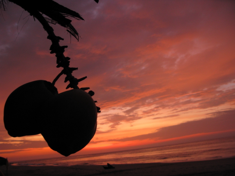 Перуанские хроники