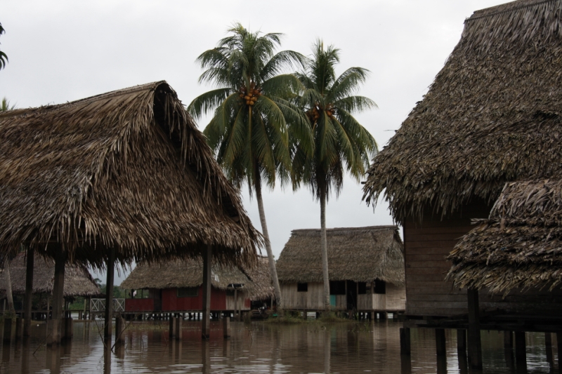 Перуанские хроники