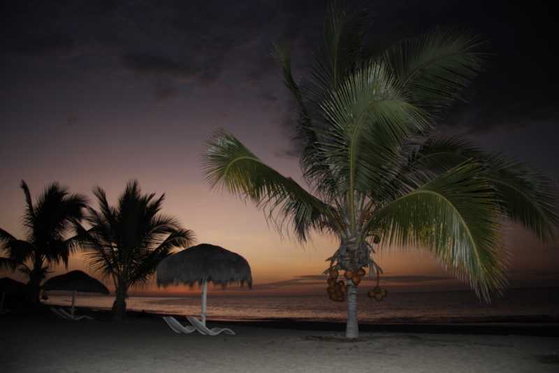 Перуанские хроники