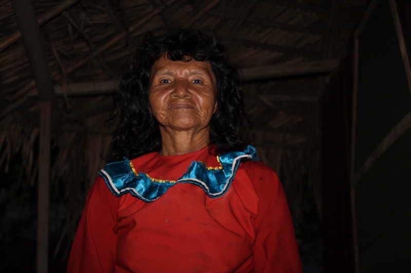 Перуанские хроники