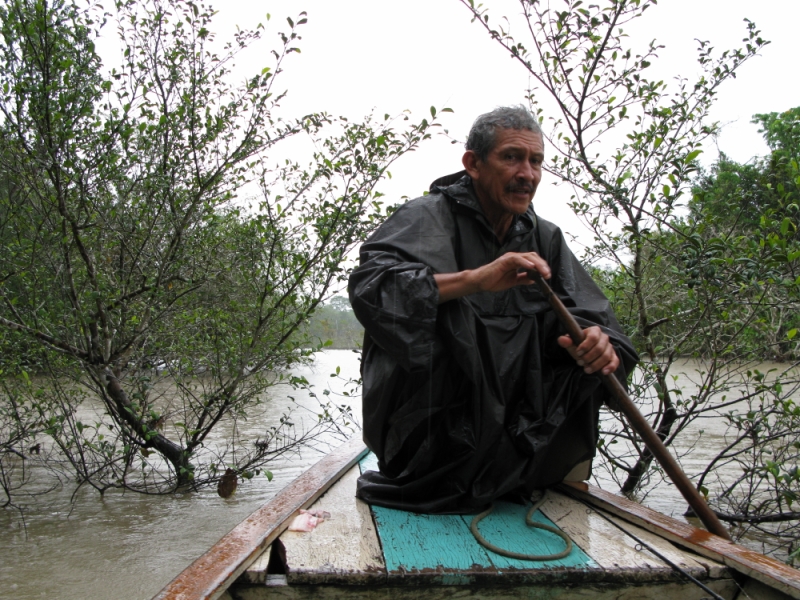Перуанские хроники