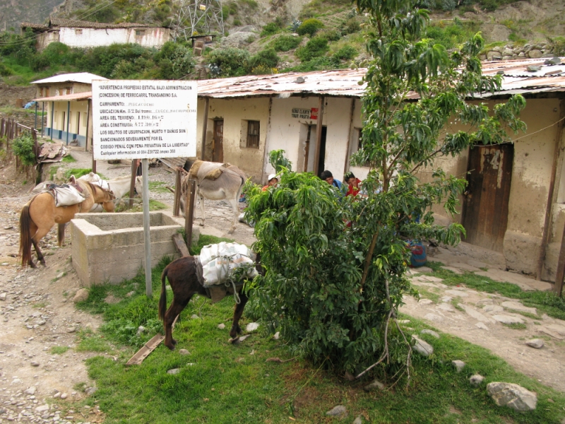 Перуанские хроники