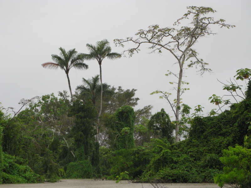 Перуанские хроники