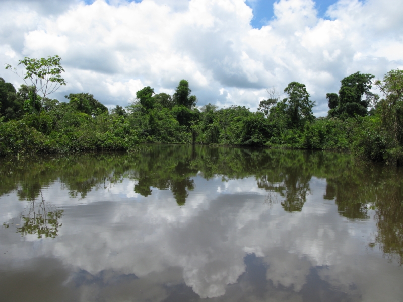 Перуанские хроники