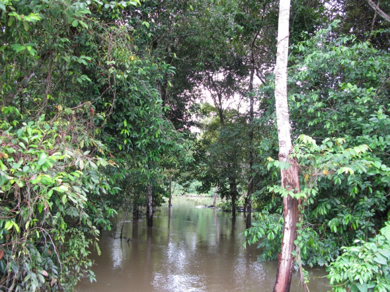 Перуанские хроники