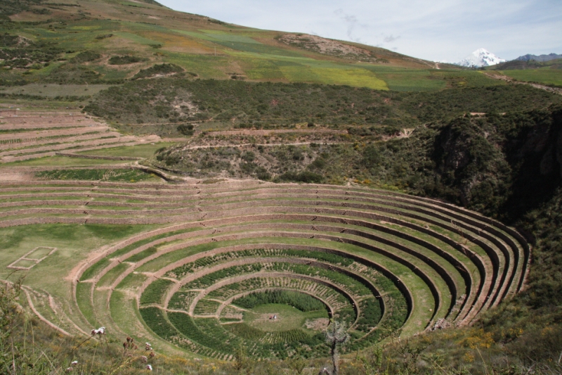 Перуанские хроники