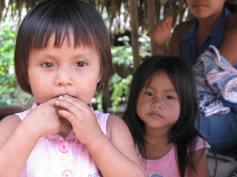 Перуанские хроники