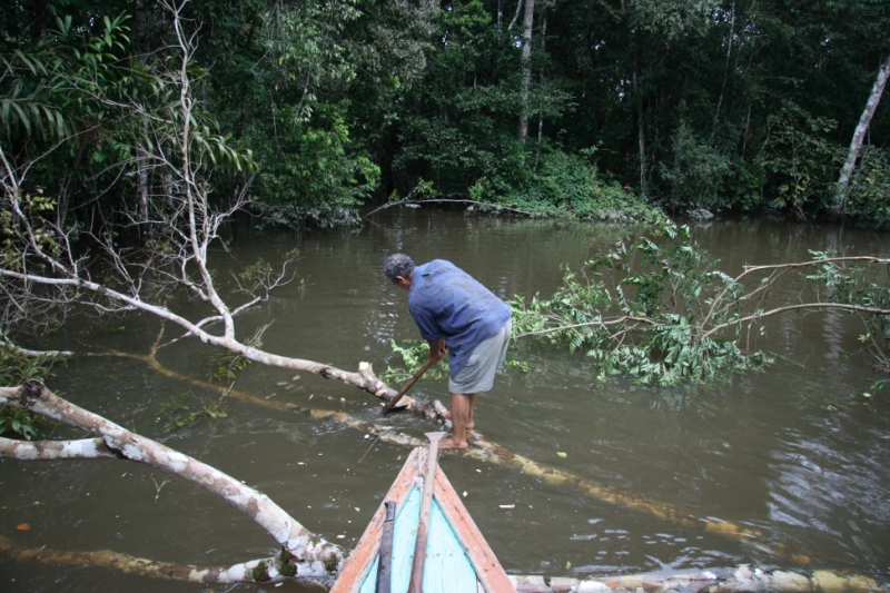 Перуанские хроники