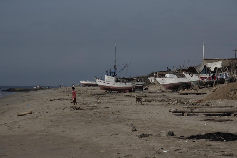 Перуанские хроники