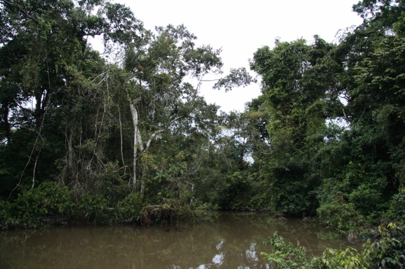 Перуанские хроники