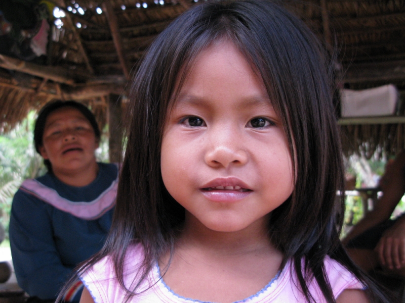 Перуанские хроники