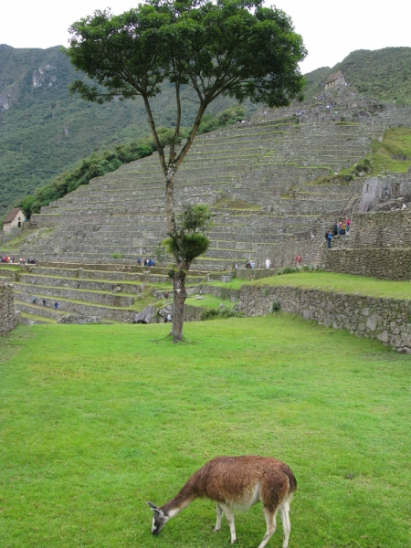 Перуанские хроники