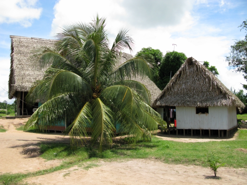 Перуанские хроники