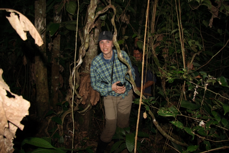 Перуанские хроники