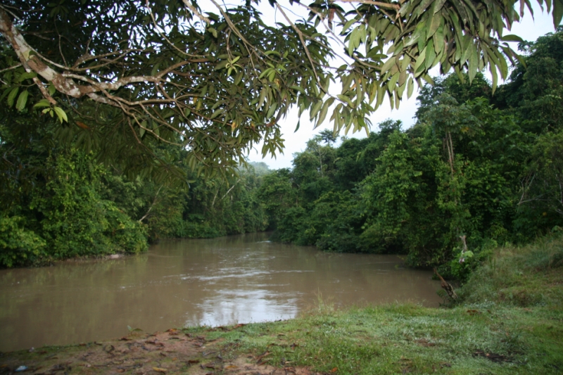 Перуанские хроники