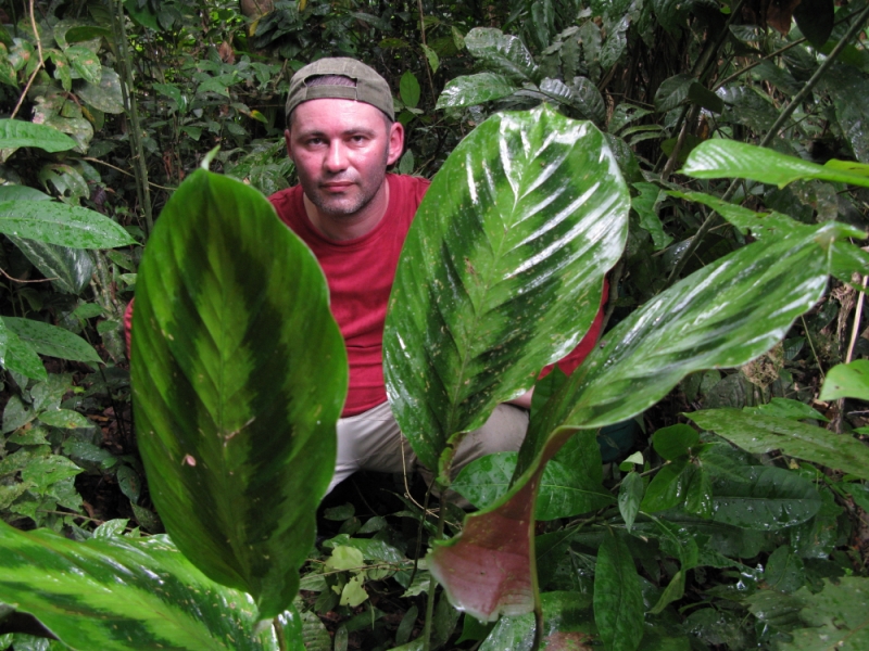 Перуанские хроники
