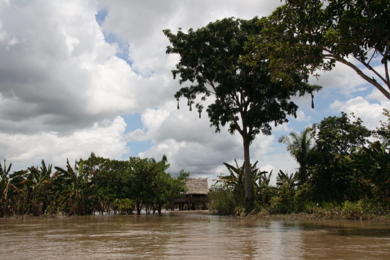 Перуанские хроники
