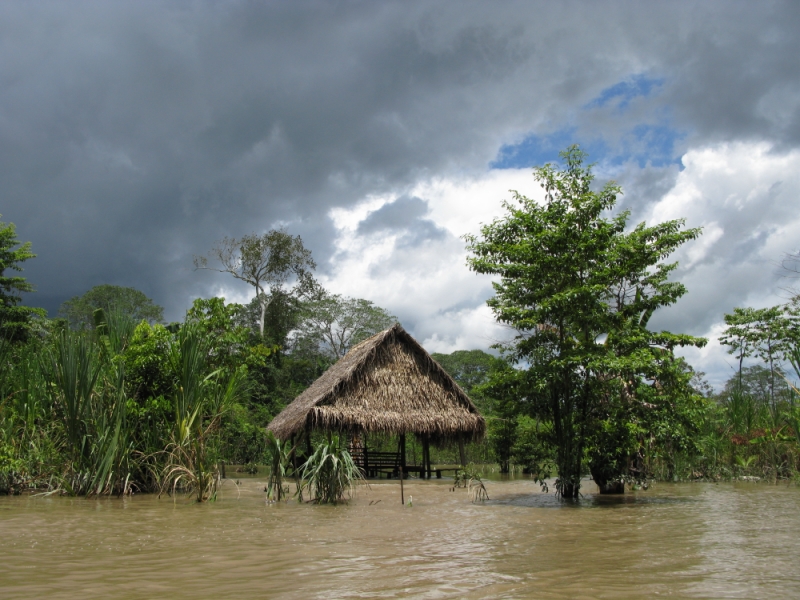 Перуанские хроники