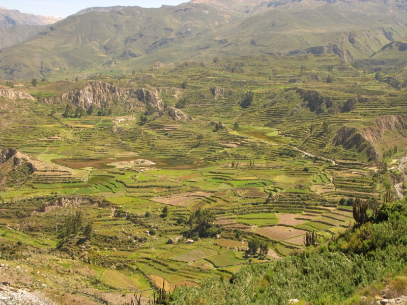 Перуанские хроники