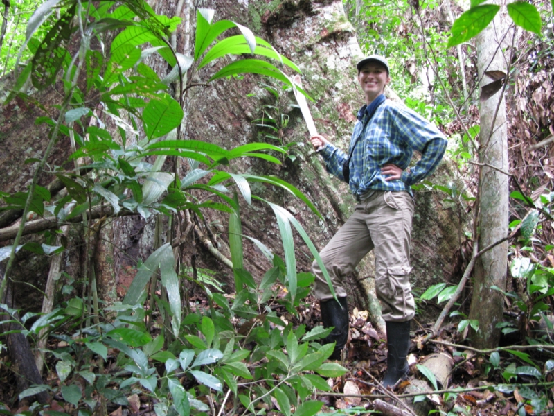 Перуанские хроники