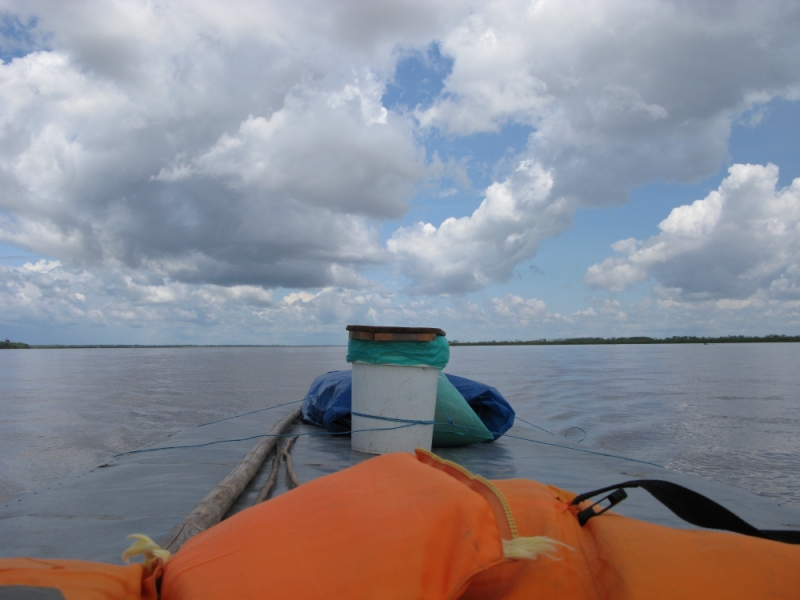 Перуанские хроники