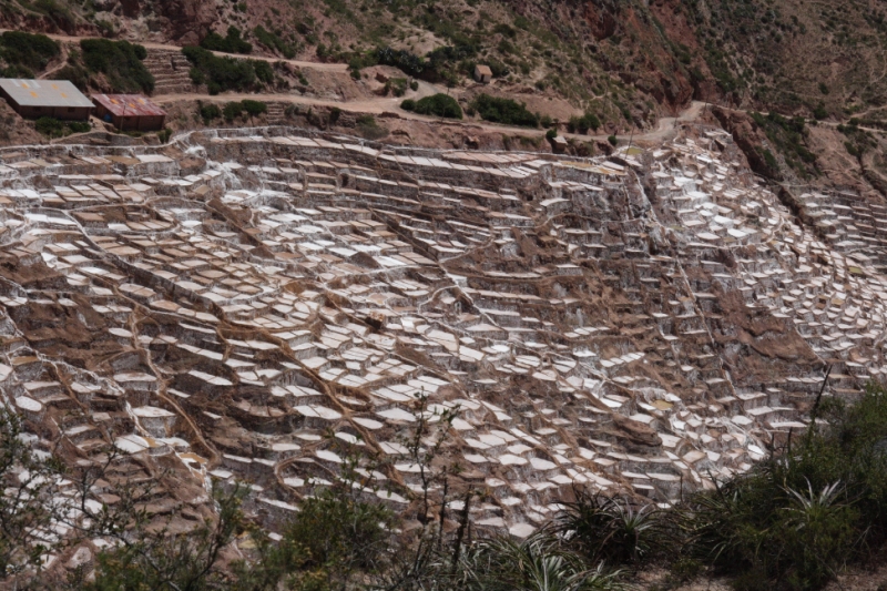Перуанские хроники