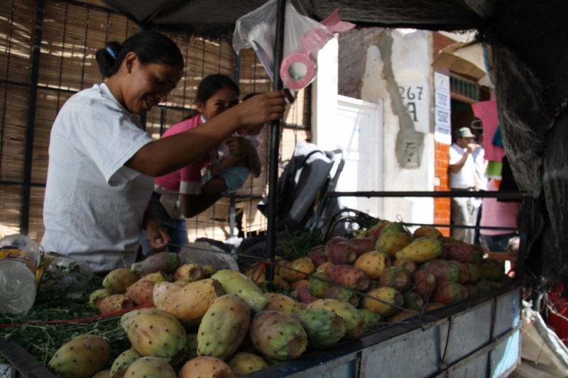 Перуанские хроники