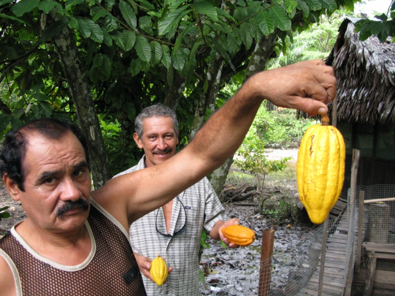 Перуанские хроники