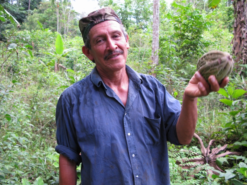 Перуанские хроники