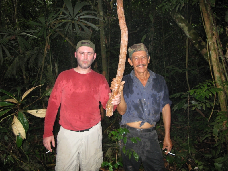 Перуанские хроники