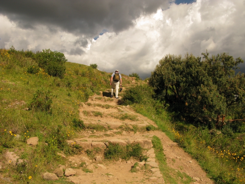 Перуанские хроники
