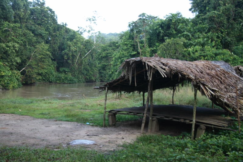 Перуанские хроники