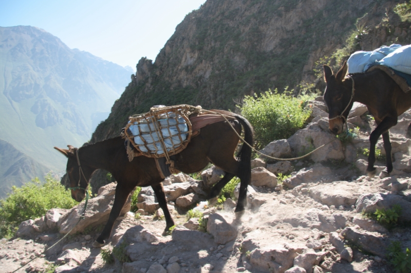 Перуанские хроники