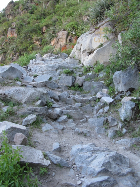 Перуанские хроники