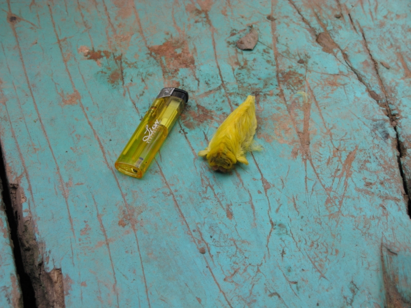 Перуанские хроники