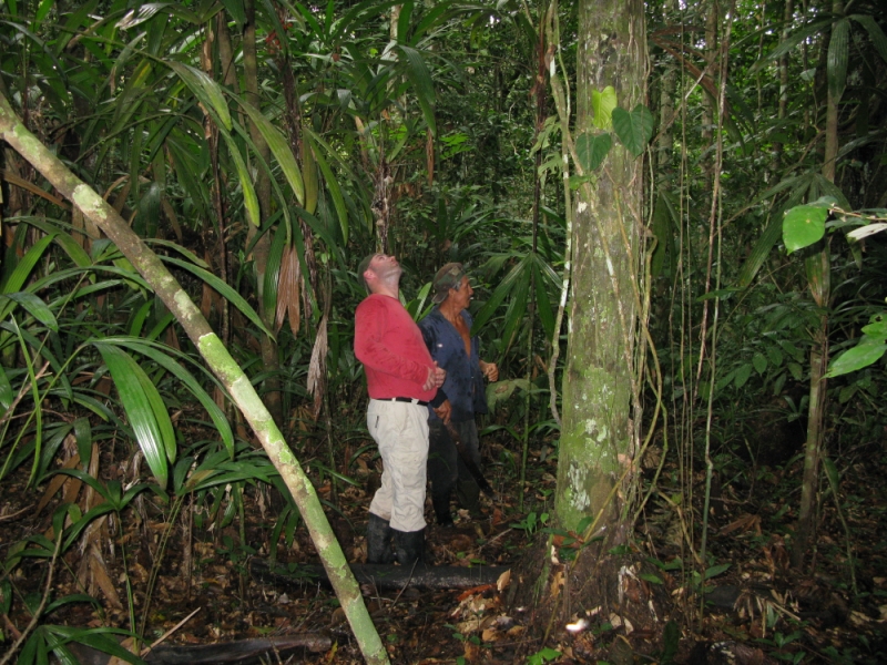 Перуанские хроники