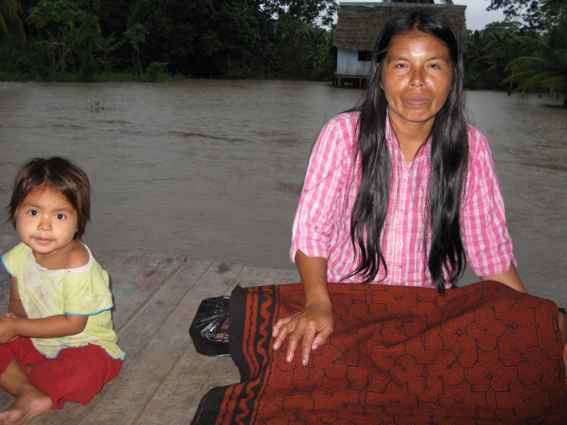 Перуанские хроники