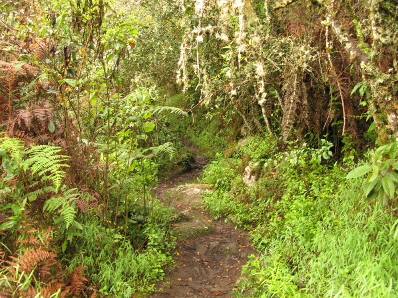 Перуанские хроники