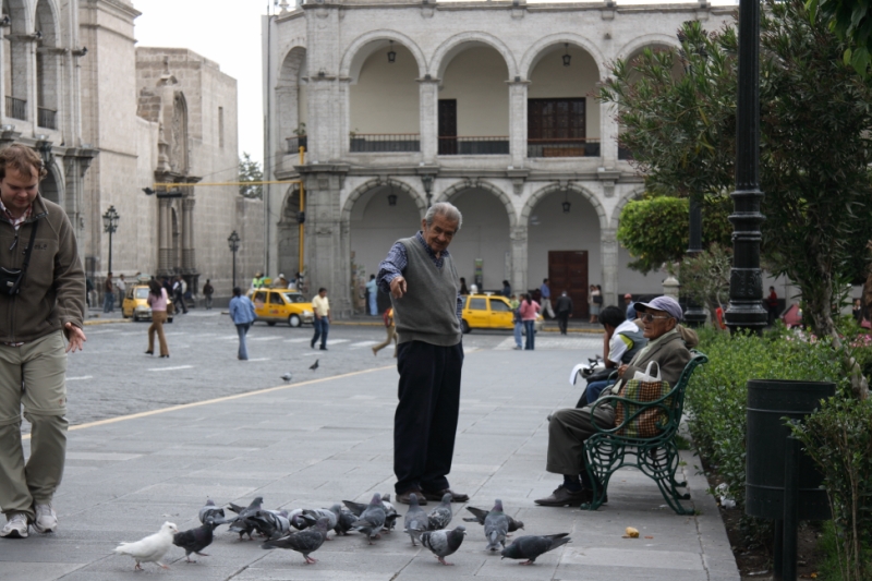 Перуанские хроники