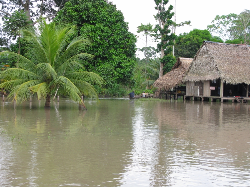 Перуанские хроники