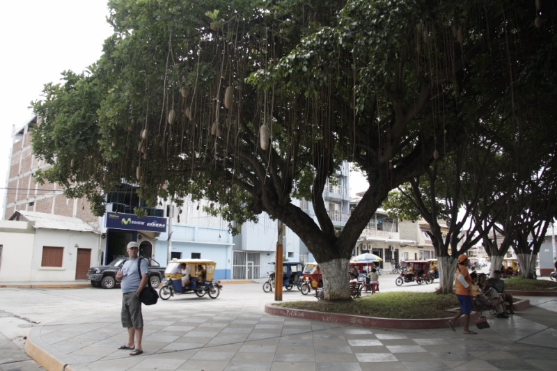 Перуанские хроники