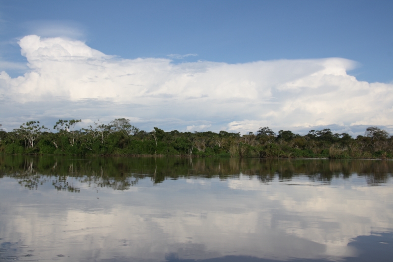 Перуанские хроники