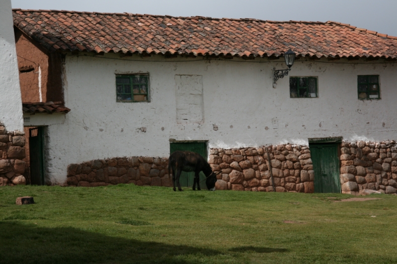 Перуанские хроники