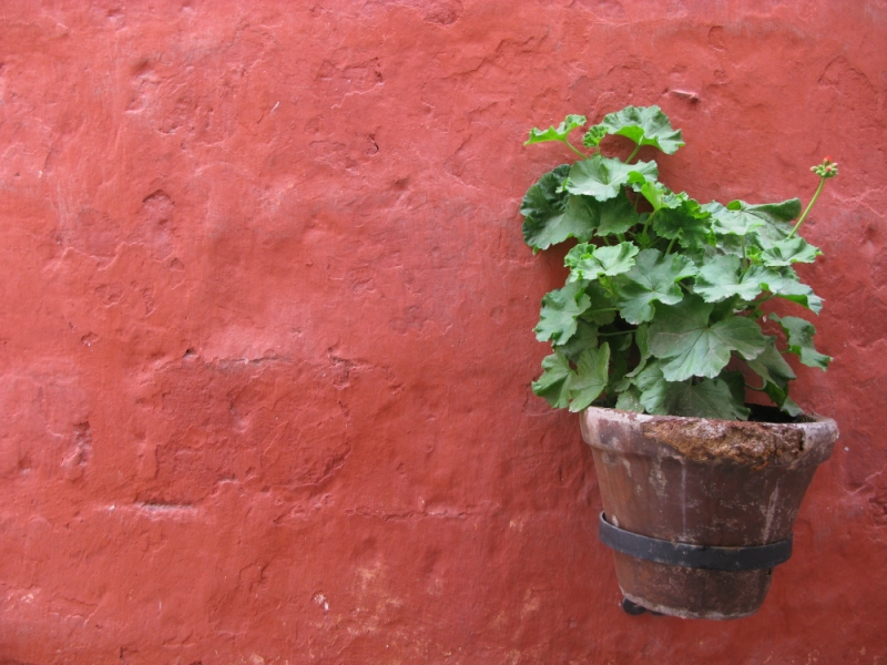 Перуанские хроники