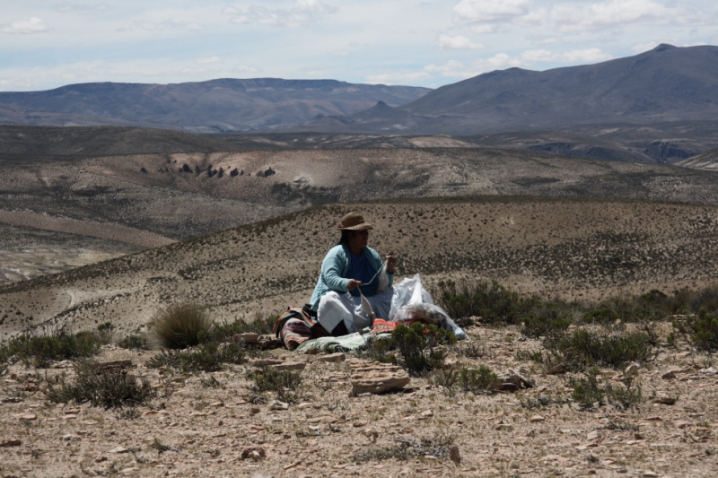 Перуанские хроники